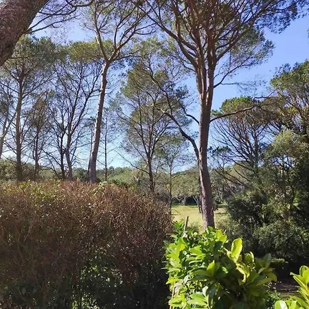 Joli T2 Golfs De Valescure, Jardin Privé, Piscine Et Tennis Dans La Résidence Appartement Saint-Raphaël