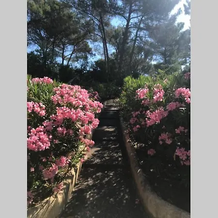 Appartement Joli T2 Golfs De Valescure, Jardin Privé, Piscine Et Tennis Dans La Résidence Saint-Raphaël