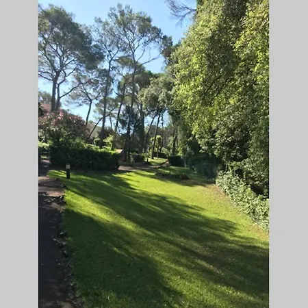 Joli T2 Golfs De Valescure, Jardin Privé, Piscine Et Tennis Dans La Résidence Appartement *